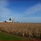 Farm in Caledon, Ontario
