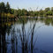 Loafer's Lake