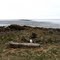 The end of the island