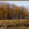 Rail Fence in the Fall