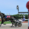 Flamboro_Downs