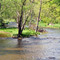 Small Island at Bronte Creek In Lowville Ontario