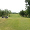 Woodstock Meadows No. 15