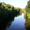 Thames River South Branch in Ingersoll