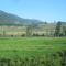 East of Kamloops