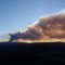 Forest Fire