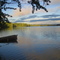 Evening Light