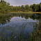 September Wetland