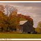 Barn near Belfountain