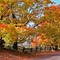 Backroads of Caledon, ON.