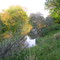 Wilmot Creek