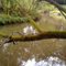 Wilmot Creek Fishing 1