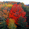 West Duffins Creek South panorama