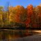 Nature Heaven Fall Color