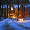 Christmas in the Woods