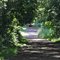 Darlington path
