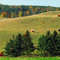 Oak Ridges Pastureland panorama
