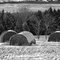 Frosted Hay Bales
