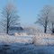 Winter Morning - Uxbridge Township, Ontario, Canada