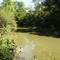 Belle River - facing Northeast - Summer