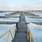 Belle River Marina