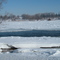 Winter On the Grand River