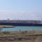 Algontario