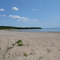 Nickle Beach