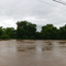 Rising Flood Waters / Early / Texas
