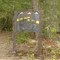 hillbilly deluxe trailhead