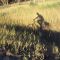 Cycling Chilcotin Highway