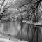 Frosty Morning Maitland River