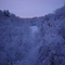 Winter Snow