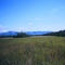 The Barley Project