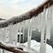 Cold Design