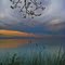 Wishful Branch