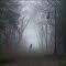 Foggy Idea