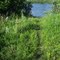 Hope Mill Conservation Area - Boat launch