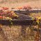 Autumn colours