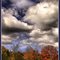 Autumn Sky on a Windy Day