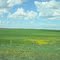 Prairie Summer Colours