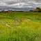 Vulcan county farm