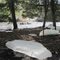 Spring paddle on the Salmon River