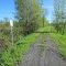Recreation trail, remnants of the Bay of Quinte Railway (BoQ) built the Rathburns of Dereronto  in 1881, looking south west to their former lumber and industrial complex that burned down years ago.