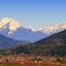 Blueberry farms and Mt.Robie Reid