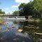 View of the dam in Colebrook.   The Napanee River is almost dried out.  This water is from draining Third and Fourth Depot Lakes 23 km. due north, upstream, otherwise there would be no flow.