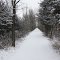 Cataraqui Trail looking west near Camden East.  This was originally the Napanee Tamworth and Quebec Railway (NT&Q) built in 1879, leased to the Bay of Quinte Railway (BQ), ran to Harrowsmith in 1889 to link to the K&P railway and on to Sydenham in 1893 to access the mica mines. It was taken over by  the former Canadian Northern Railway (CNoR)  in 1910 and run to Ottawa in 1912 - 1914.  The tracks were removed in the early 1990's. .