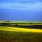 Prairie Light