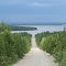 End of the road