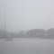 Foggy morning.
